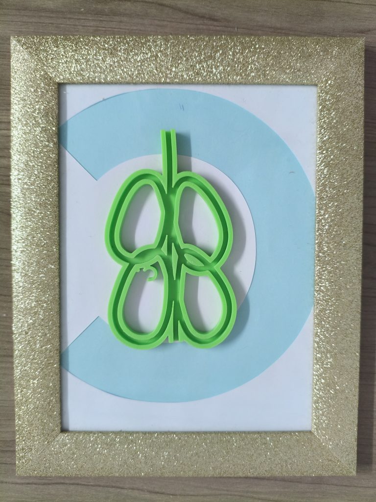 Leaves shaping frame